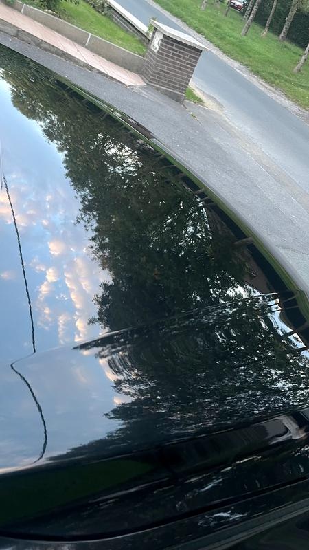 BMW 320d gedetaild door DE detailing Tielt (foto 20)