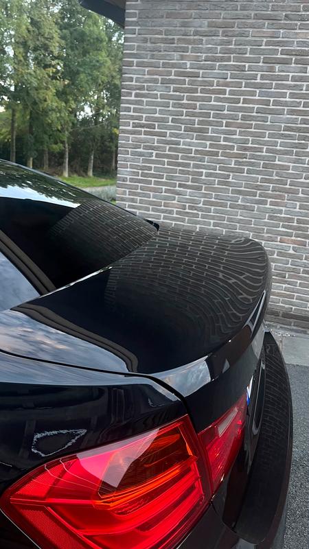 BMW 320d gedetaild door DE detailing Tielt (foto 24)
