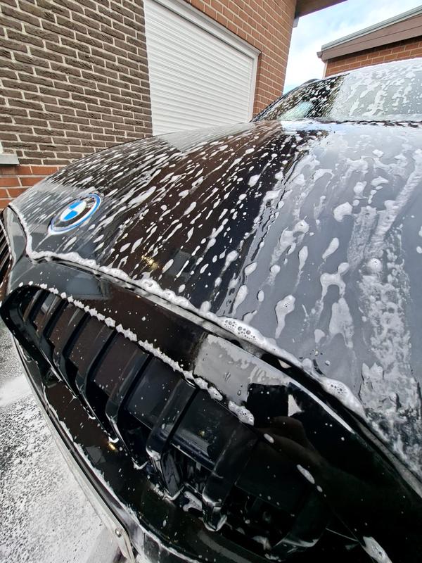 BMW 330e gedetaild door DE detailing Tielt (foto 22)