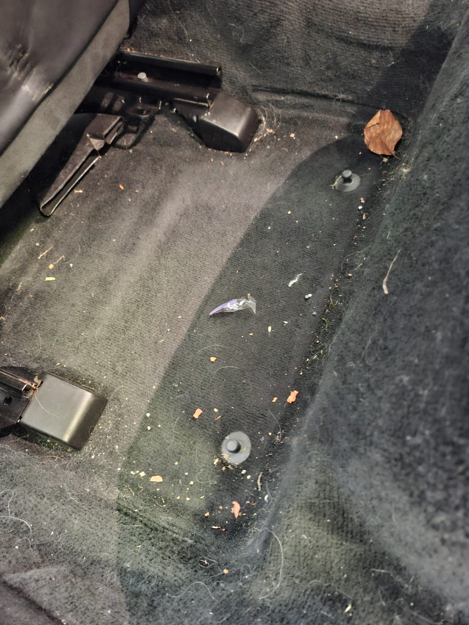 Interior before